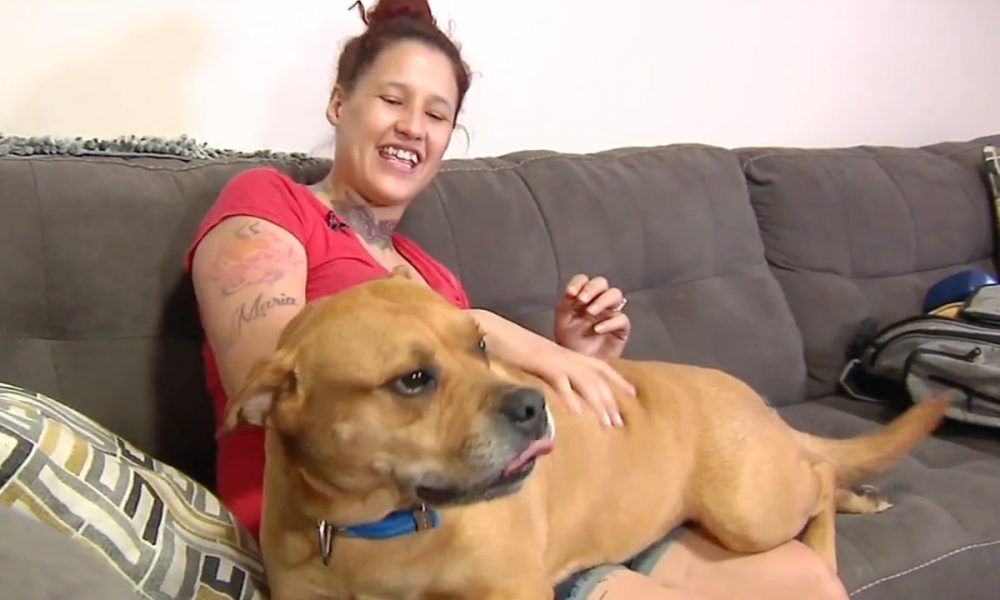 Woman Goes to Adopt a Pet And Miraculously Finds Her Lost Pet – SoGoodly