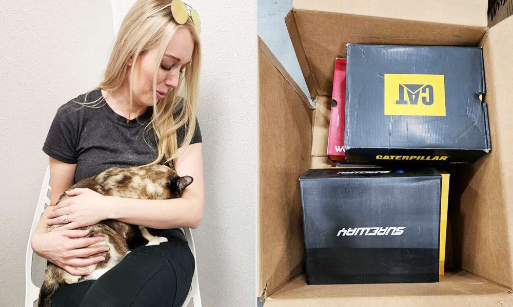 Cat Accidentally Shipped 650 Miles in Amazon Box, Found Safe – SoGoodly